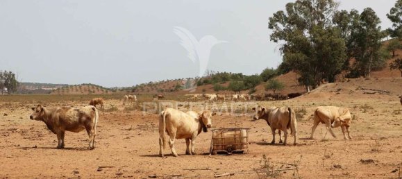 1247920m² Land in Castro Marim, Portugal No. 135544 13