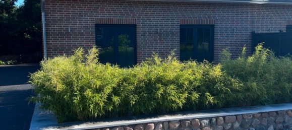 4 Schlafzimmer Stadthaus in Herzogtum Lauenburg, Germany, Nr. 246335 4