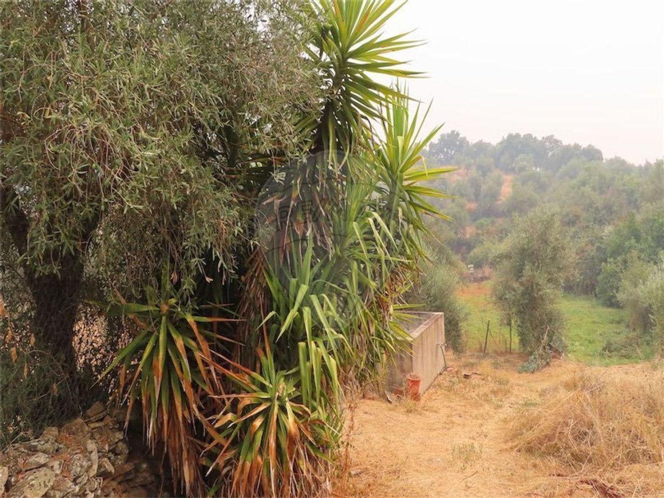 1 bedroom House in Idanha a Nova, Portugal No. 329494