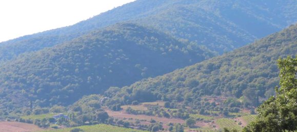  قطعة أرض في Collobrieres, France رقم 121223 5