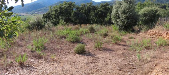  قطعة أرض في Collobrieres, France رقم 121223 7