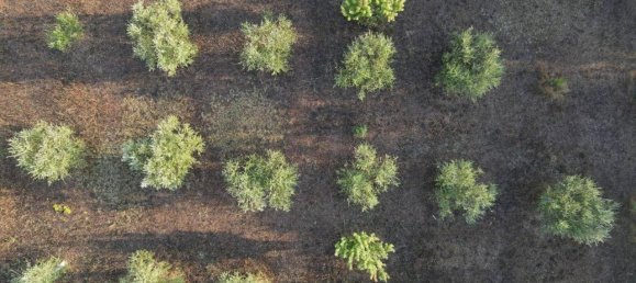 21-Zimmer Haus in Noto, Italy, Nr. 22071 41