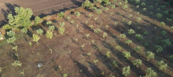 21-Zimmer Haus in Noto, Italy, Nr. 22071 43