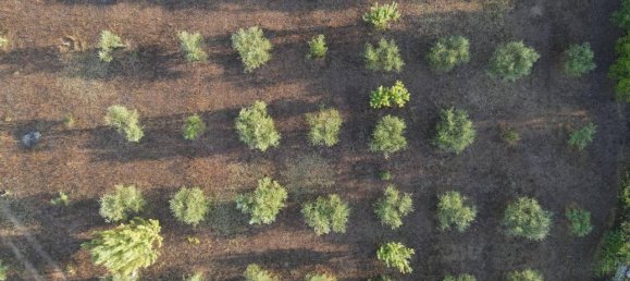 21-Zimmer Haus in Noto, Italy, Nr. 22071 42