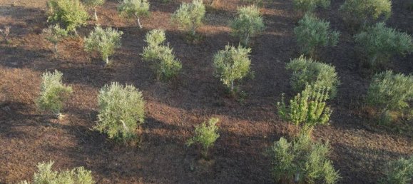 21-Zimmer Haus in Noto, Italy, Nr. 22071 39