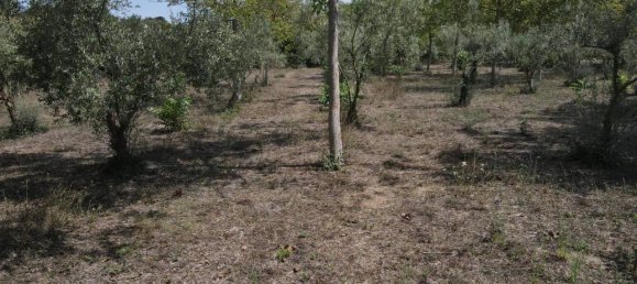 21-Zimmer Haus in Noto, Italy, Nr. 22071 8