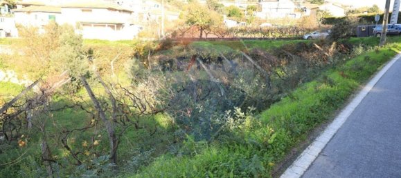 2 bedrooms House in Baiao, Portugal No. 25455 12