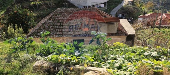 2 bedrooms House in Baiao, Portugal No. 25455 3