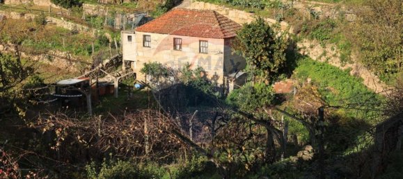 2 bedrooms House in Baiao, Portugal No. 25455 10