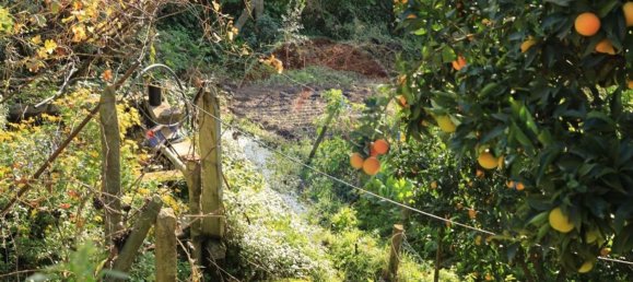 2 bedrooms House in Baiao, Portugal No. 25455 6