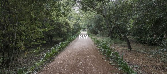 8 bedrooms Castles in Elvas, Portugal No. 103778 7