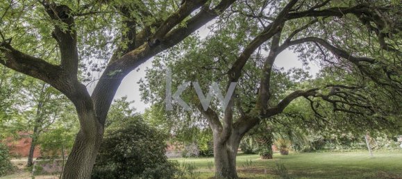 8 bedrooms Castles in Elvas, Portugal No. 103778 29