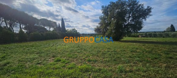 5000m² Land in Montecarlo, Italy No. 324518 3