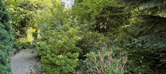 7-Zimmer Stadthaus in Rendsburg-Eckernförde, Germany, Nr. 61793 36