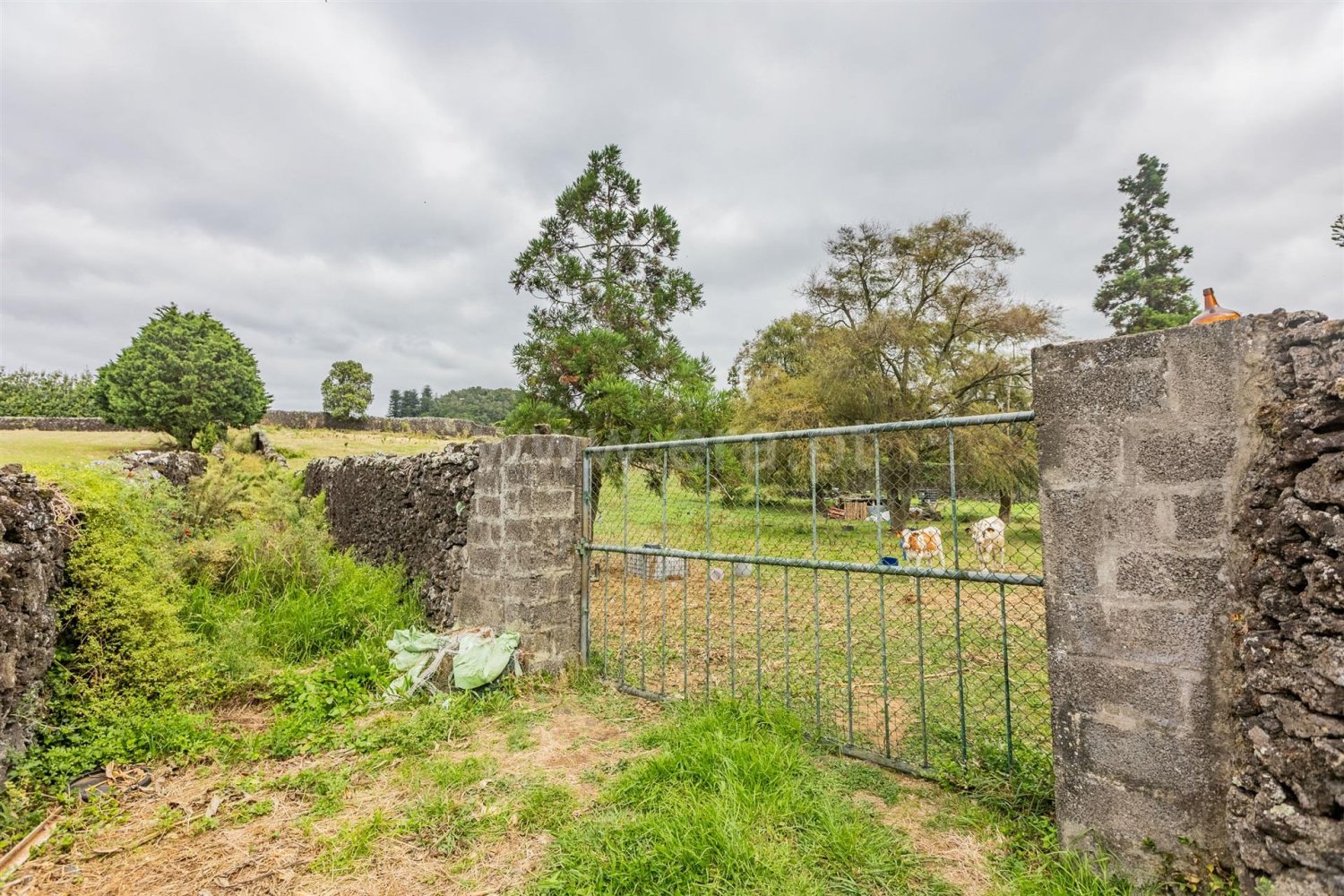  Land in Lagoa, Portugal No. 337936