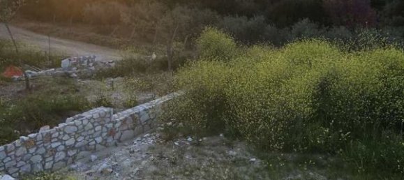 3 Schlafzimmer Villa in Chalkidiki, Greece, Nr. 1141 13