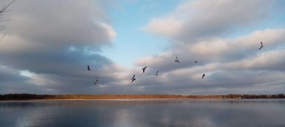 2 bedrooms House in Brandenburg, Germany No. 69043 29