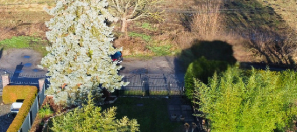 2 bedrooms House in Brandenburg, Germany No. 69043 21