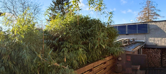 2 bedrooms House in Brandenburg, Germany No. 69043 28