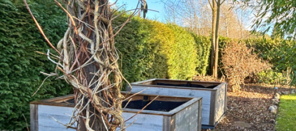 2 bedrooms House in Brandenburg, Germany No. 69043 22