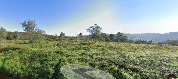 6802m² Land in Torres do Mondego, Portugal No. 131620 6