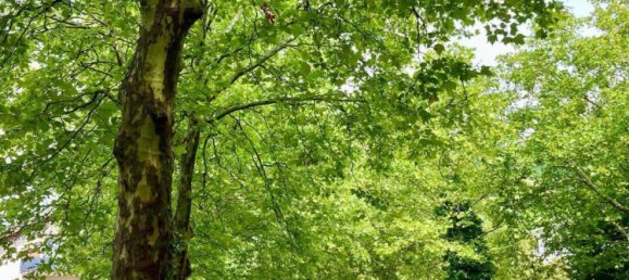 Apartamento de 3 habitaciónes en Konstanz, Germany No. 241893 14