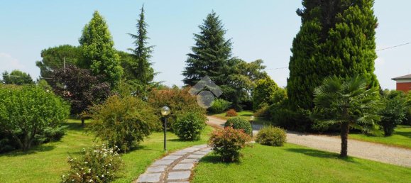 5 rooms Villa in Castelletto Cervo, Italy No. 165091 12