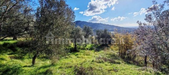 Дом с 2 спальнями в Кортона, Италия № 78860 16