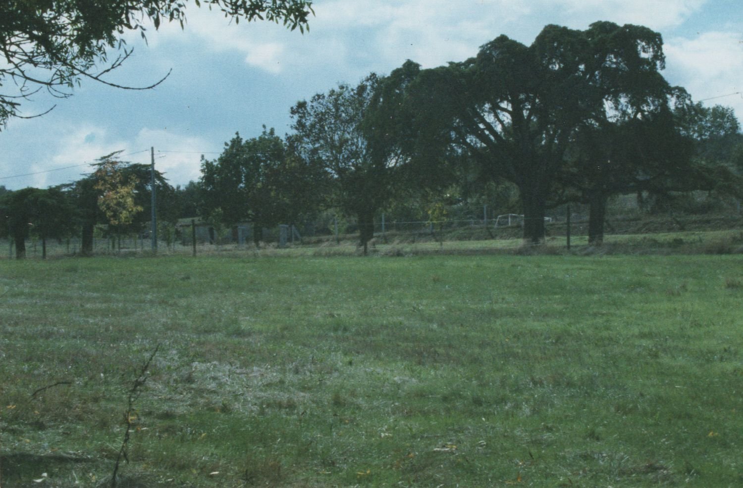 3 chambres Maison à Pinhel, Portugal No. 261351