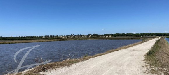 325m² Land in Alcacer do Sal, Portugal No. 130378 20