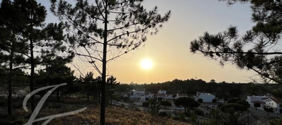 325m² Land in Alcacer do Sal, Portugal No. 130378 13