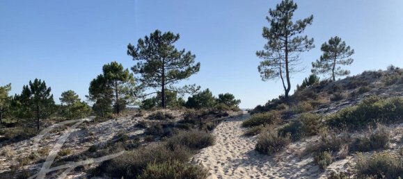 325m² Land in Alcacer do Sal, Portugal No. 130378 17