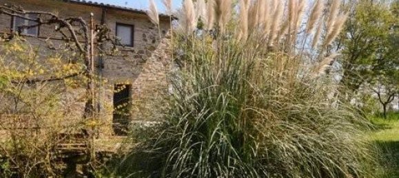 23 rooms House in Suvereto, Italy No. 83999 20