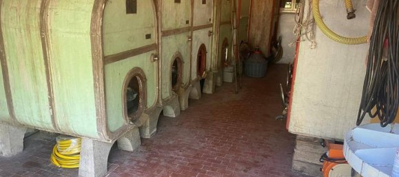 23 rooms House in Suvereto, Italy No. 83999 27