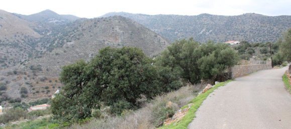 4060m² Hotel in Agios Nikolaos, Greece No. 5283 6