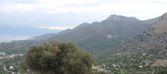 4060m² Hotel in Agios Nikolaos, Greece No. 5283 7