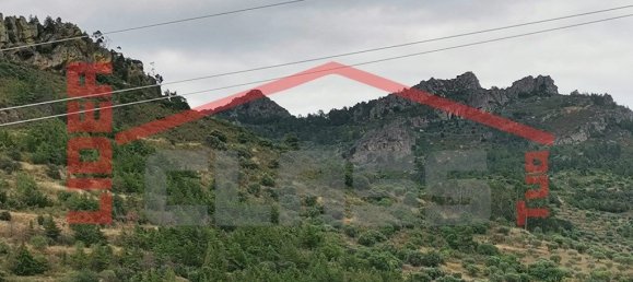 Terreno en Vila Flor, Portugal 4000 m² No. 225083 5