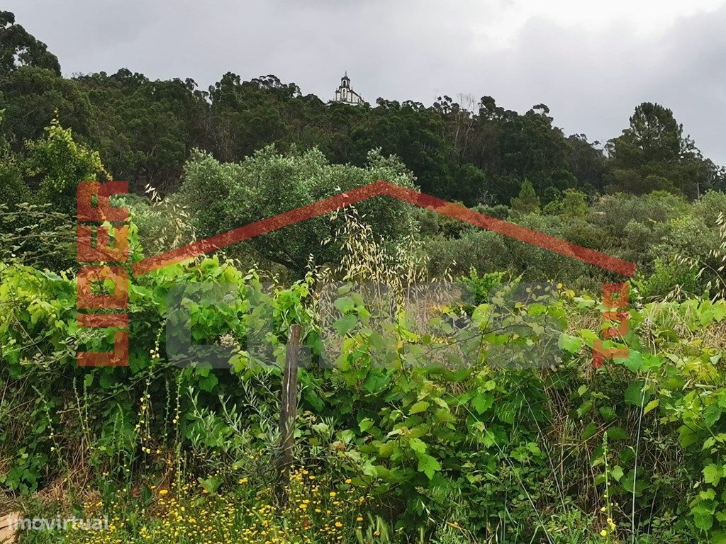 4000m² Land in Vila Flor, Portugal No. 225083