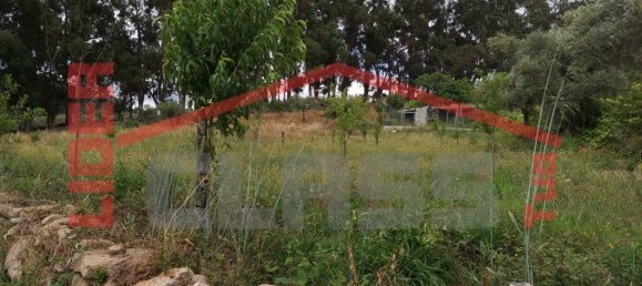 Terreno en Vila Flor, Portugal 4000 m² No. 225083 2