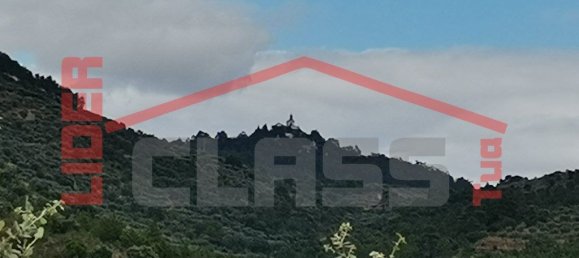 Terreno en Vila Flor, Portugal 4000 m² No. 225083 4