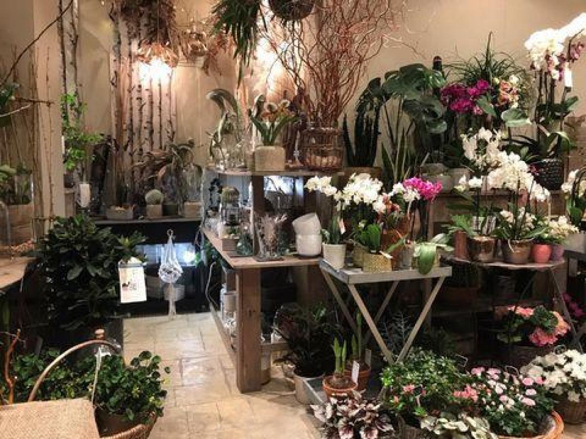 Oficina en Caen, France 40 m² No. 19284