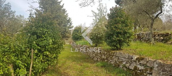 3 rooms House in Martina Franca, Italy No. 18038 13