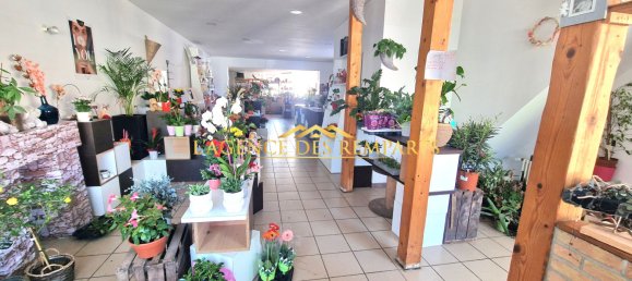 5 chambres Maison à Brimeux, France No. 240011 15