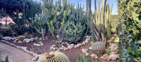 4 Schlafzimmer Villa in Menorca, Spain, Nr. 87935 8