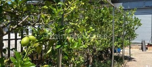 6 bedrooms Villa in Campagna, Italy No. 296234 8