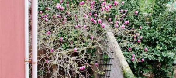 10 rooms Villa in Livorno, Italy No. 172233 3