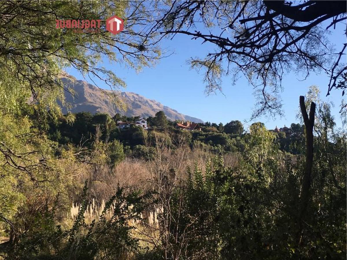  Land in San Luis, Argentina No. 43879