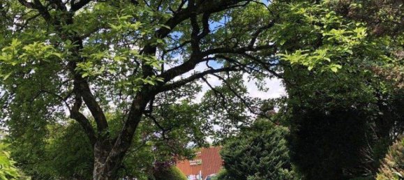 7غرفة منزل في Linz, Austria رقم 137278 11