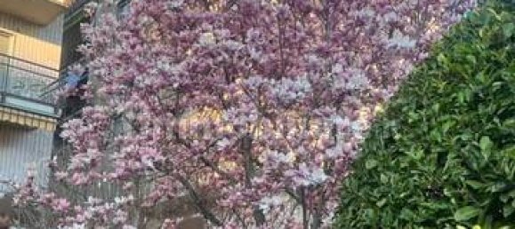 4 bedrooms Duplex in Turin, Italy No. 49757 25