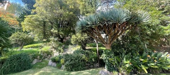 7 bedrooms Castles in Oeiras, Portugal No. 106044 36